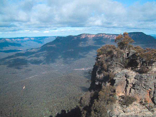 15 Blue Mountains