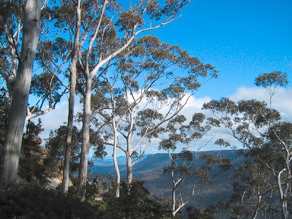 18 Blue mountains