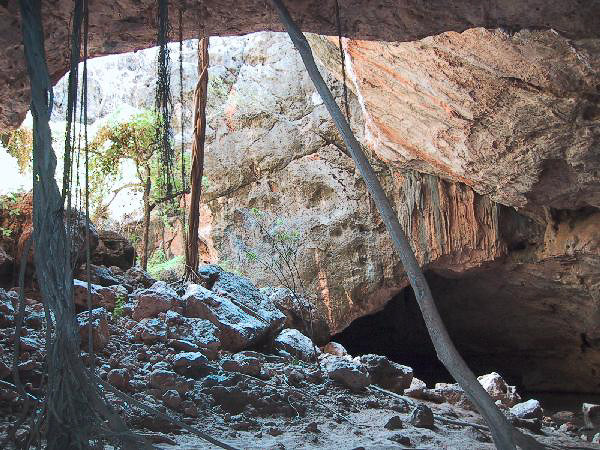 41 Tunnel Creek