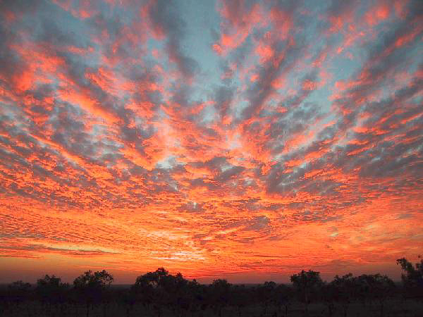 61 Solnedgang