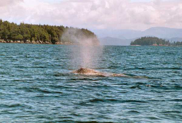 19b