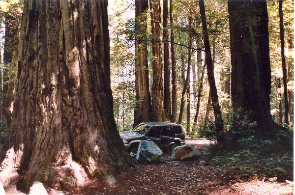 40a
